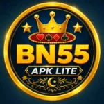 bn55 game