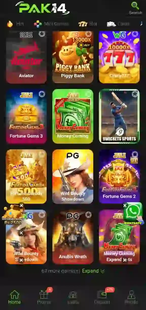 pak14 game
