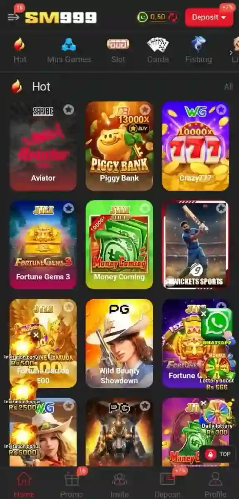 sm999 game
