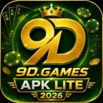 9d game