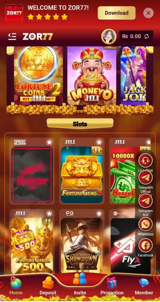 zor77 game