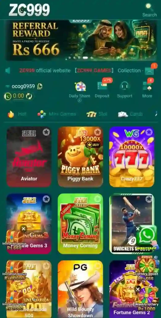 ZC999 GME