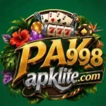 pak998 game